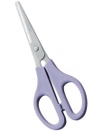 House Hold & Tailor Scissors 